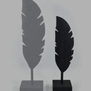 Veer op voet S Black Wash