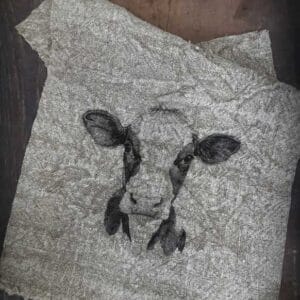 Shabbydoek Koe